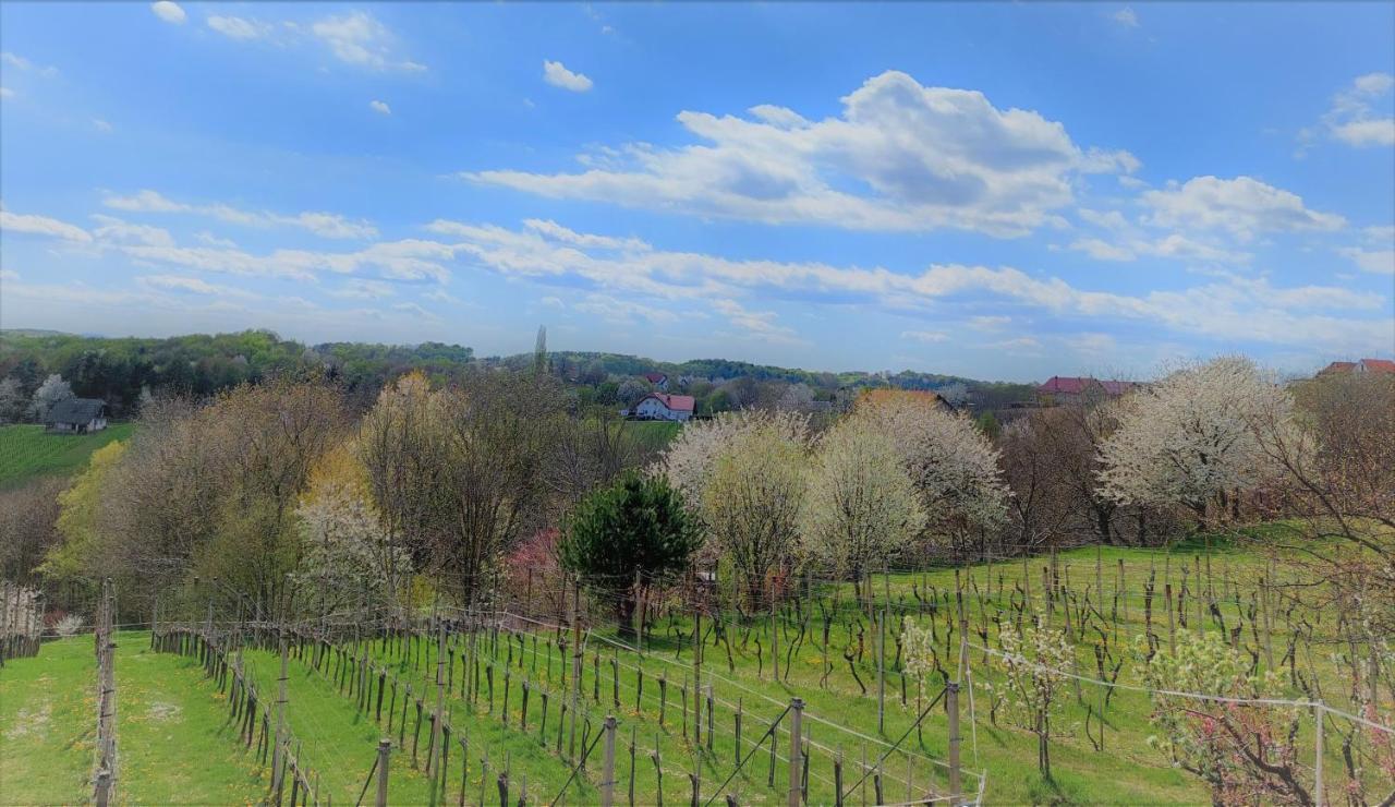 Apartma-Spa Natura Sveti Jurij ob Scavnici Екстер'єр фото