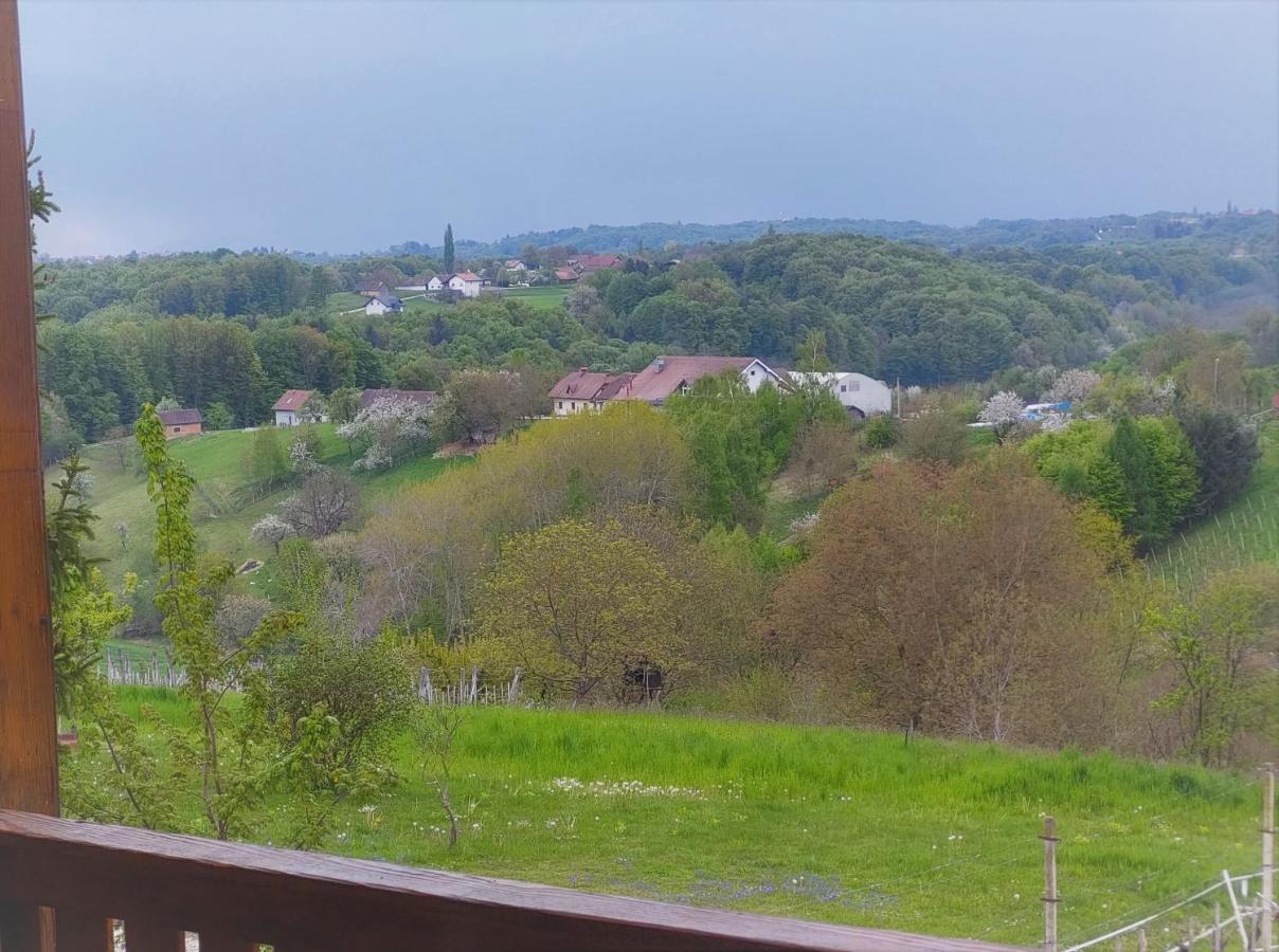 Apartma-Spa Natura Sveti Jurij ob Scavnici Екстер'єр фото